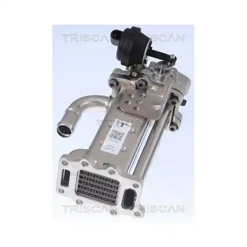 TRISCAN Kühler, Abgasrückführung 8813 43104 Finale Aktion