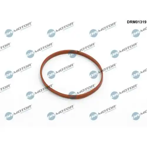 Dr.Motor Automotive Dichtung, Drosselklappenstutzen DRM01319 Garantierte Lieferung