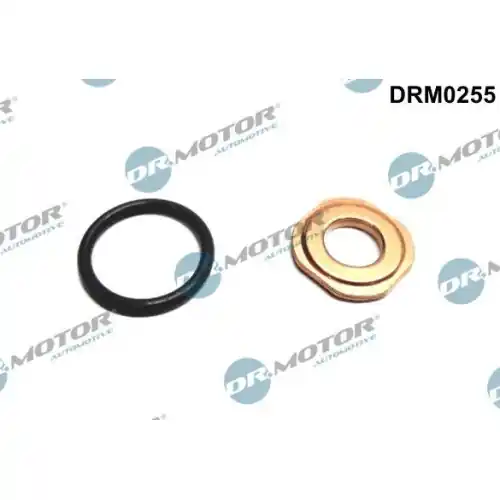 Dr.Motor Automotive Dichtungssatz, Einspritzdüse DRM0255 Ausverkauf