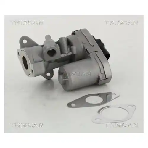 Wochenendangebot TRISCAN AGR-Ventil 8813 10002