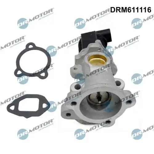 Günstig Dr.Motor Automotive AGR-Ventil DRM611116