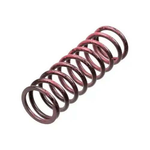 Ausverkauf TRW Kupplungsfedernsatz MEF313-6