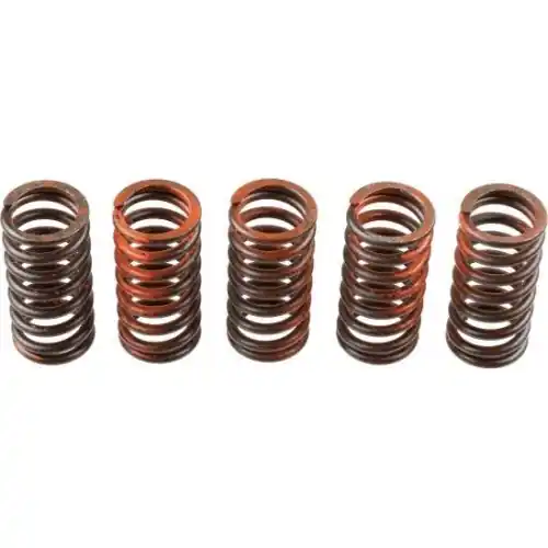 Expressversand TRW Kupplungsfedernsatz MEF317-5