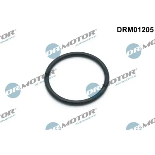 Dr.Motor Automotive Dichtung, Wasserpumpe DRM01205 Begrenztes Angebot